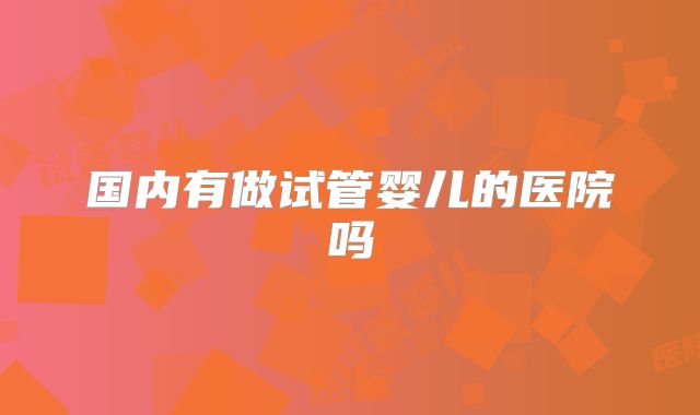 国内有做试管婴儿的医院吗
