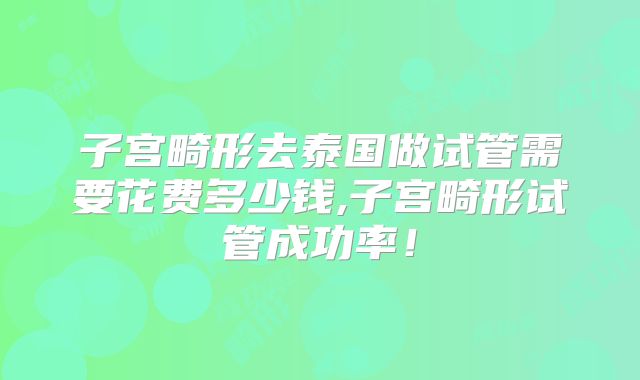 子宫畸形去泰国做试管需要花费多少钱,子宫畸形试管成功率！