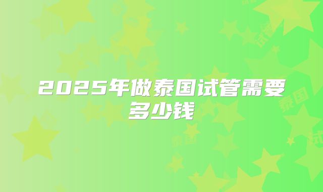 2025年做泰国试管需要多少钱