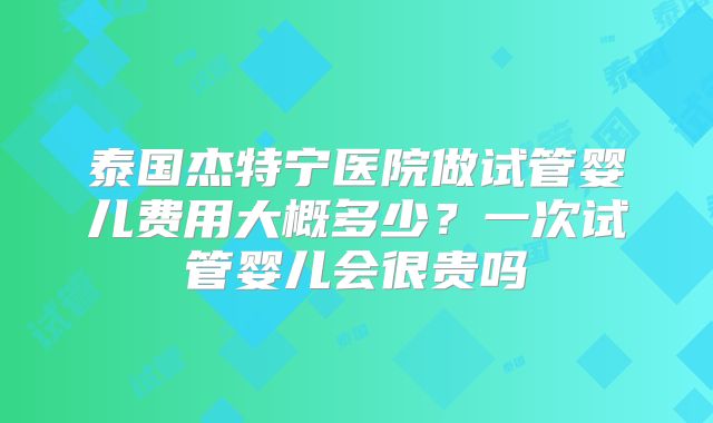 泰国杰特宁医院做试管婴儿费用大概多少？一次试管婴儿会很贵吗