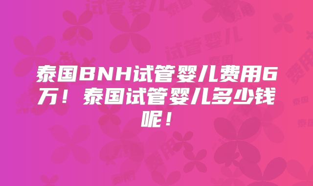 泰国BNH试管婴儿费用6万!泰国试管婴儿多少钱呢!