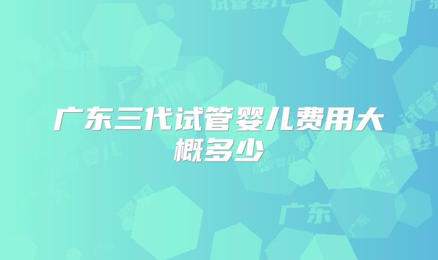 广东三代试管婴儿费用大概多少