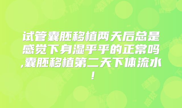 试管囊胚移植两天后总是感觉下身湿乎乎的正常吗,囊胚移植第二天下体流水!