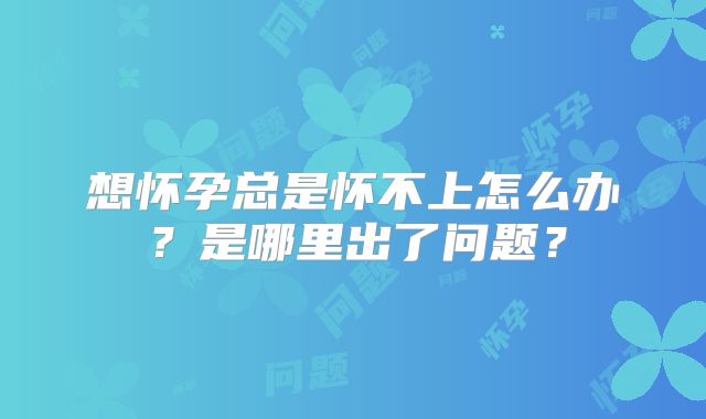 想怀孕总是怀不上怎么办？是哪里出了问题？