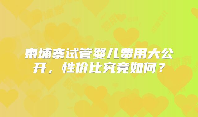 柬埔寨试管婴儿费用大公开，性价比究竟如何？