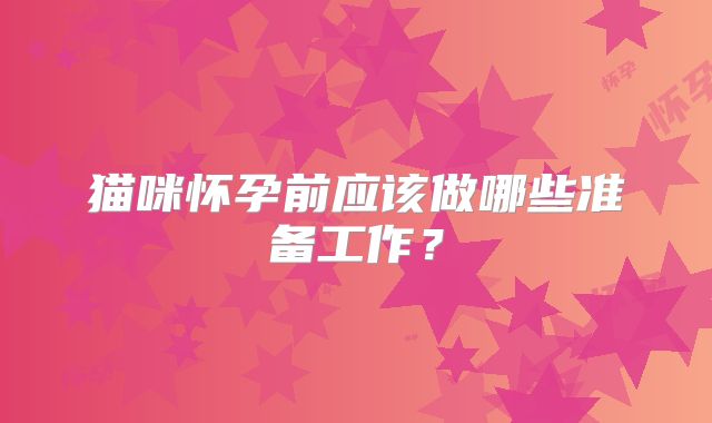 猫咪怀孕前应该做哪些准备工作?
