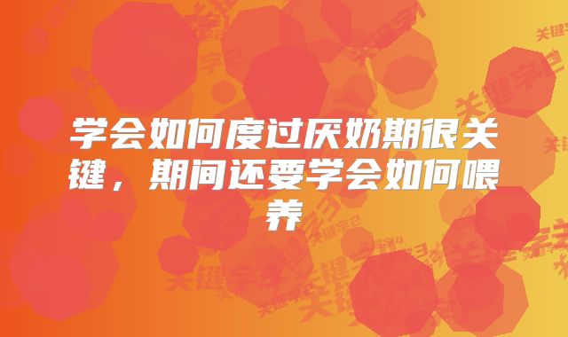 学会如何度过厌奶期很关键,期间还要学会如何喂养