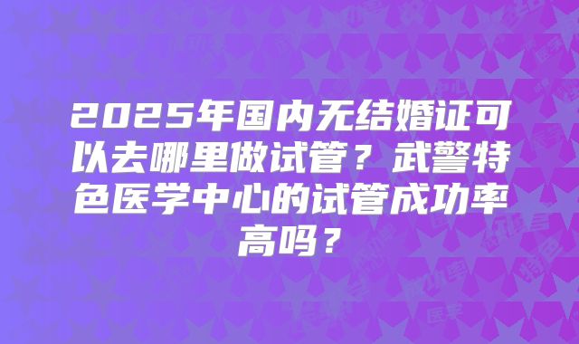2025年国内无结婚证可以去哪里做试管？武警特色医学中心的试管成功率高吗？