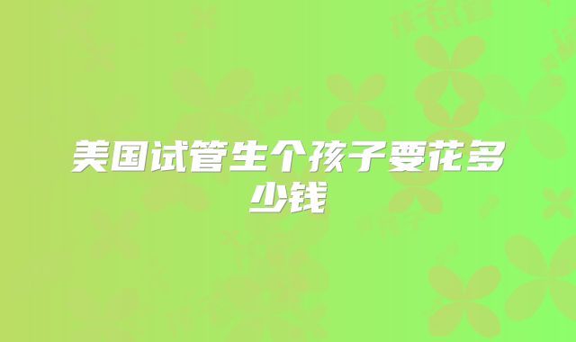 美国试管生个孩子要花多少钱