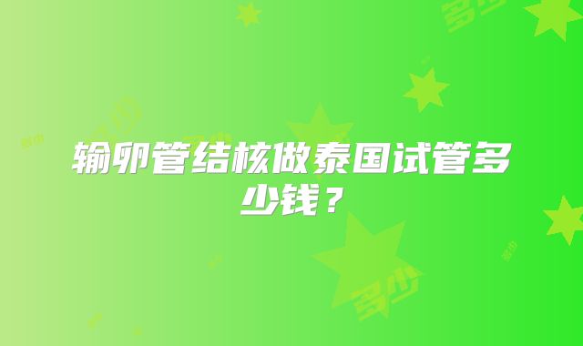 输卵管结核做泰国试管多少钱?