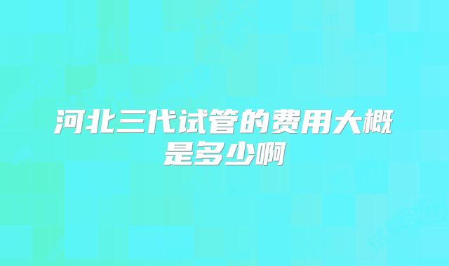 河北三代试管的费用大概是多少啊
