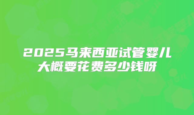 2025马来西亚试管婴儿大概要花费多少钱呀