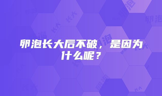 卵泡长大后不破,是因为什么呢?