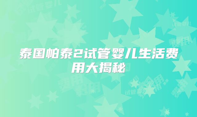 泰国帕泰2试管婴儿生活费用大揭秘