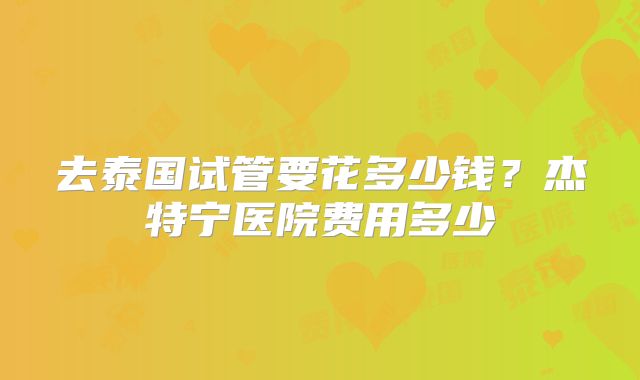 去泰国试管要花多少钱？杰特宁医院费用多少
