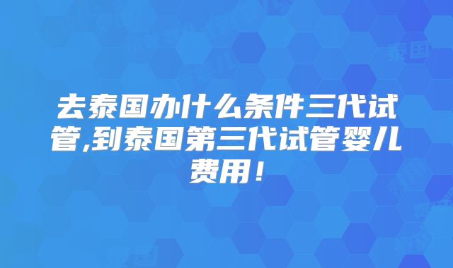 去泰国办什么条件三代试管,到泰国第三代试管婴儿费用!
