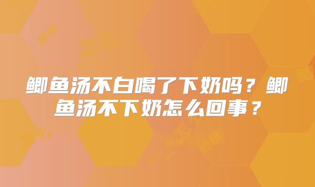 鲫鱼汤不白喝了下奶吗?鲫鱼汤不下奶怎么回事?