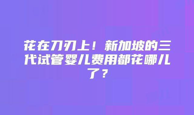 花在刀刃上！新加坡的三代试管婴儿费用都花哪儿了？
