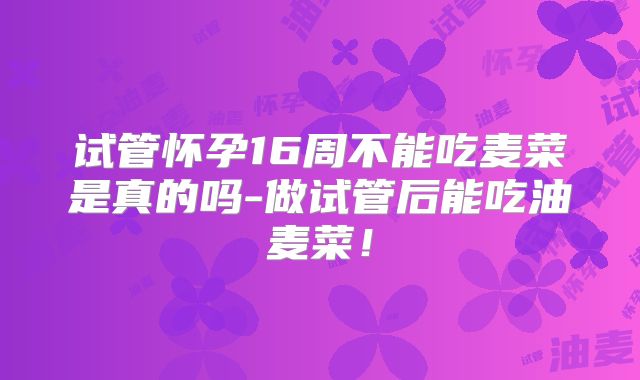 试管怀孕16周不能吃麦菜是真的吗-做试管后能吃油麦菜！