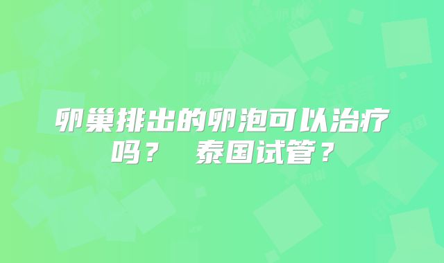 卵巢排出的卵泡可以治疗吗？ 泰国试管？