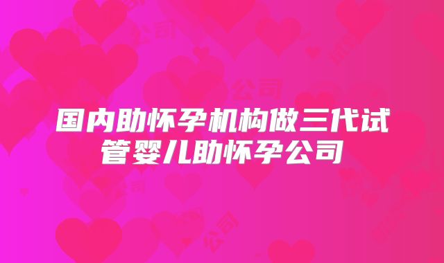 国内助怀孕机构做三代试管婴儿助怀孕公司