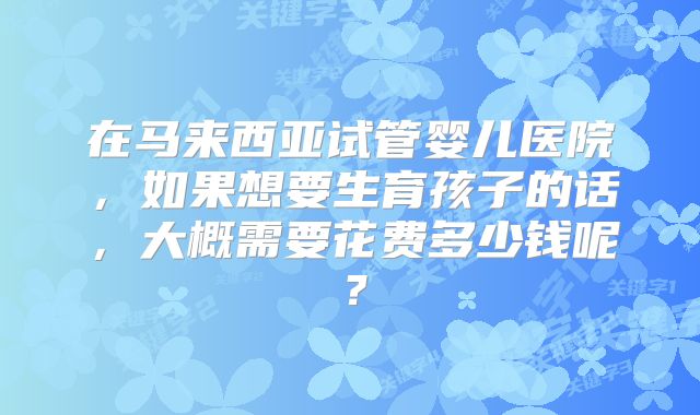 在马来西亚试管婴儿医院，如果想要生育孩子的话，大概需要花费多少钱呢？