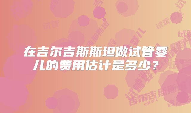 在吉尔吉斯斯坦做试管婴儿的费用估计是多少？