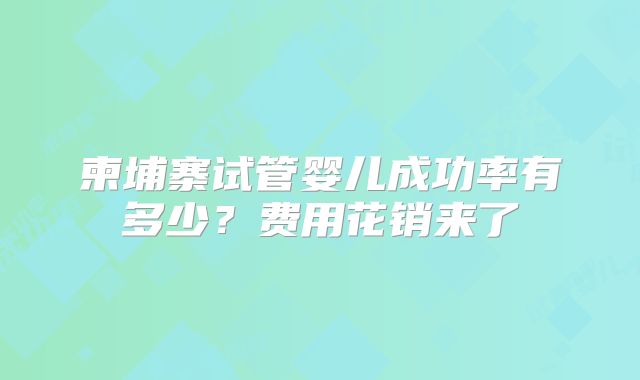柬埔寨试管婴儿成功率有多少?费用花销来了