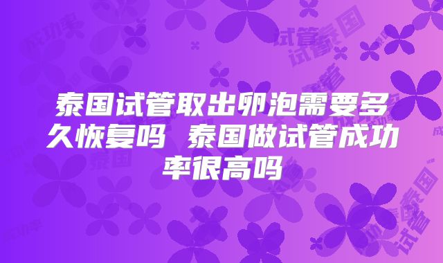 泰国试管取出卵泡需要多久恢复吗 泰国做试管成功率很高吗