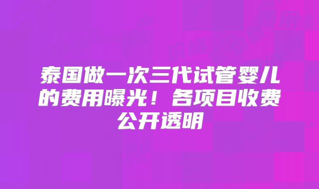 泰国做一次三代试管婴儿的费用曝光!各项目收费公开透明