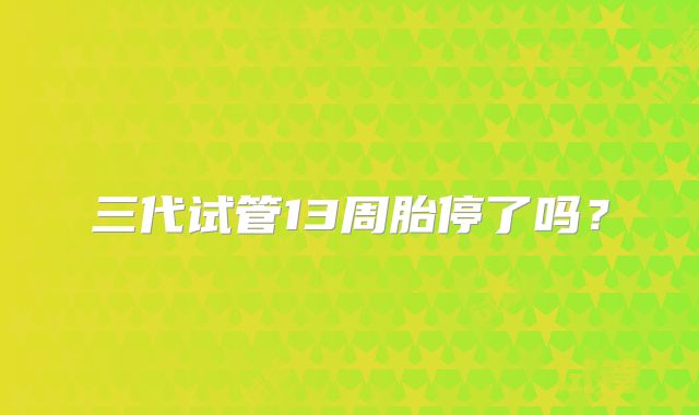 三代试管13周胎停了吗？