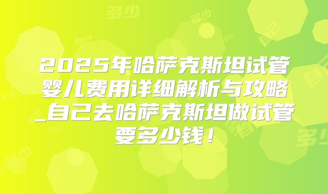2025年哈萨克斯坦试管婴儿费用详细解析与攻略_自己去哈萨克斯坦做试管要多少钱！