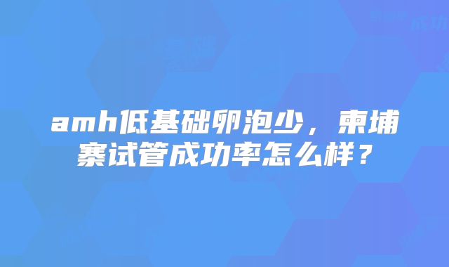 amh低基础卵泡少，柬埔寨试管成功率怎么样？