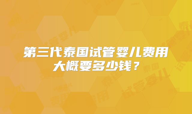 第三代泰国试管婴儿费用大概要多少钱？