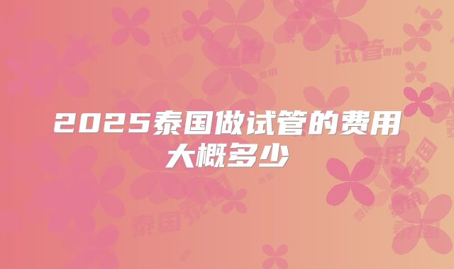 2025泰国做试管的费用大概多少
