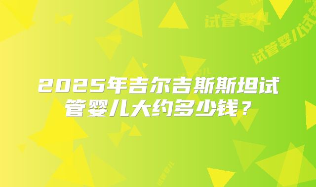 2025年吉尔吉斯斯坦试管婴儿大约多少钱？
