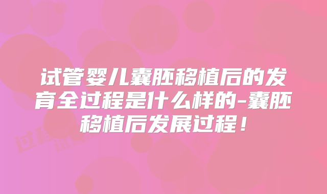试管婴儿囊胚移植后的发育全过程是什么样的-囊胚移植后发展过程！