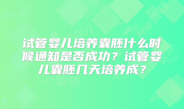 试管婴儿培养囊胚什么时候通知是否成功?试管婴儿囊胚几天培养成?