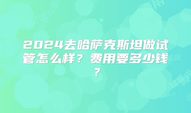 2024去哈萨克斯坦做试管怎么样?费用要多少钱?