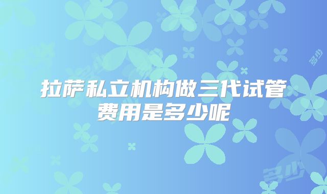 拉萨私立机构做三代试管费用是多少呢