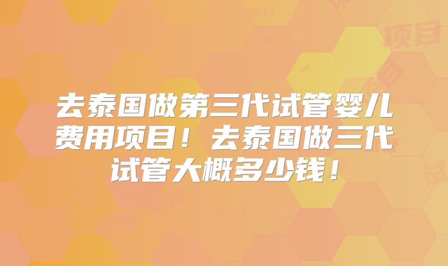 去泰国做第三代试管婴儿费用项目！去泰国做三代试管大概多少钱！