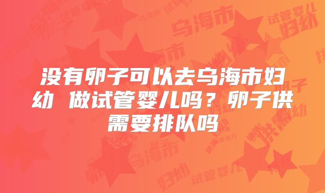 没有卵子可以去乌海市妇幼 做试管婴儿吗?卵子供需要排队吗