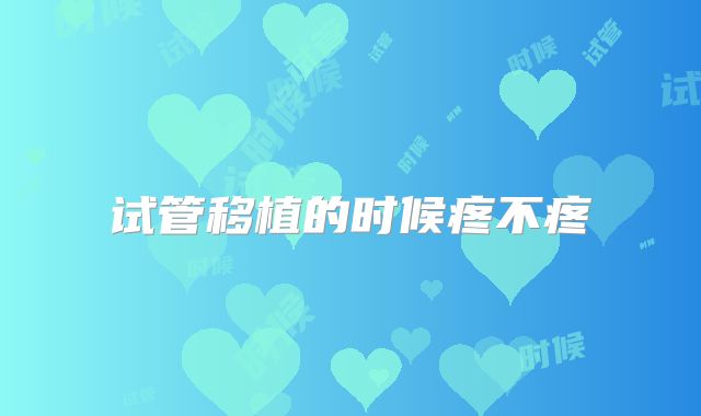 试管移植的时候疼不疼