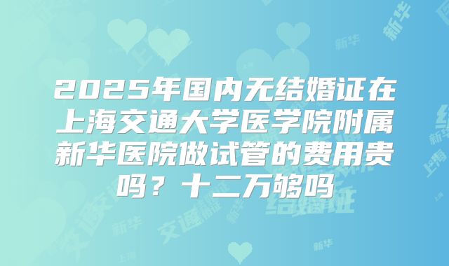 2025年国内无结婚证在上海交通大学医学院附属新华医院做试管的费用贵吗？十二万够吗