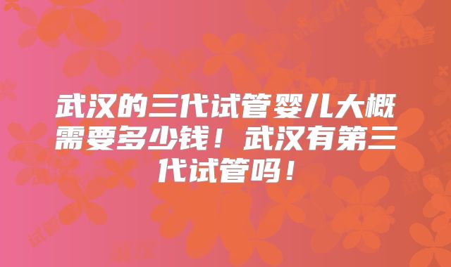 武汉的三代试管婴儿大概需要多少钱！武汉有第三代试管吗！