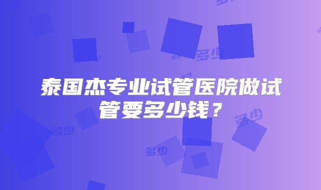 泰国杰专业试管医院做试管要多少钱？
