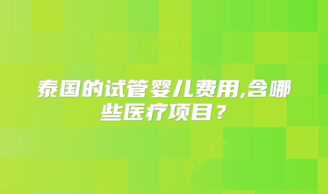 泰国的试管婴儿费用,含哪些医疗项目？