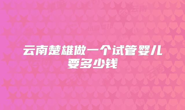 云南楚雄做一个试管婴儿要多少钱