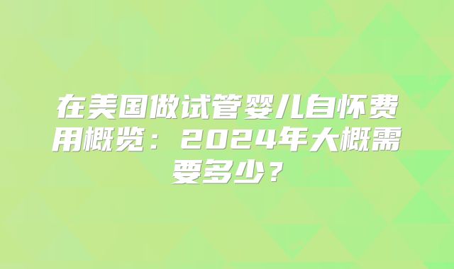 在美国做试管婴儿自怀费用概览:2024年大概需要多少?