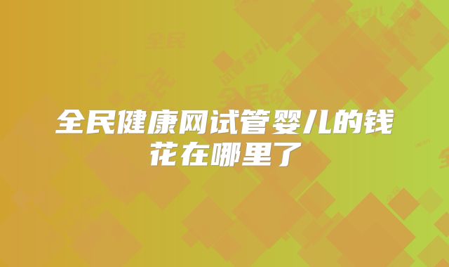 全民健康网试管婴儿的钱花在哪里了